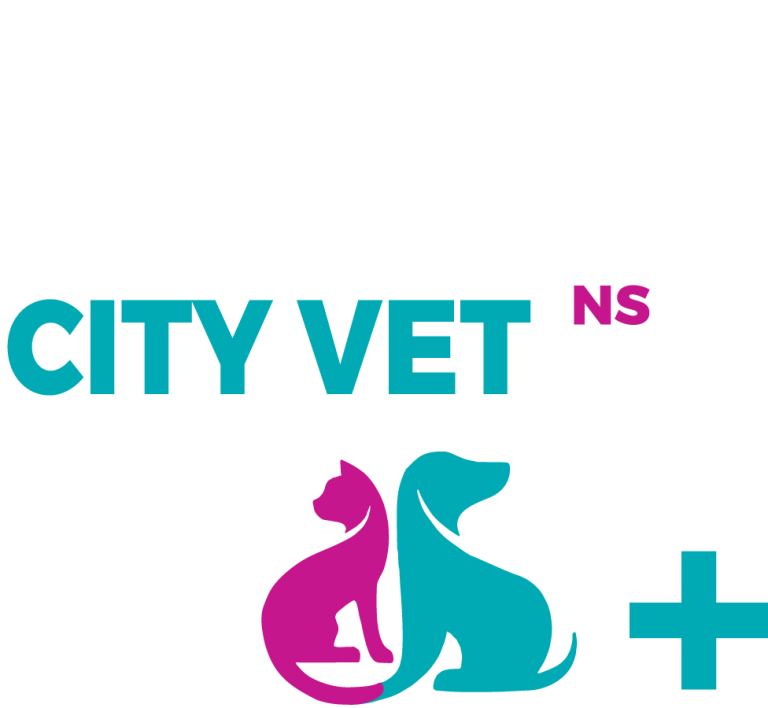 EUTANAZIJA City Vet