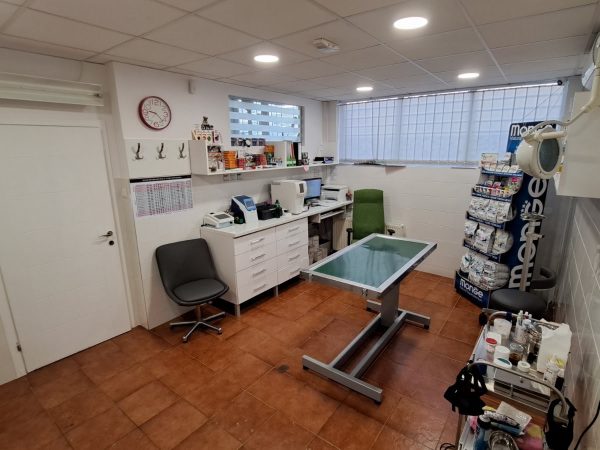 IMG-0631a7721f7677a35a8b616a8bef0884-V