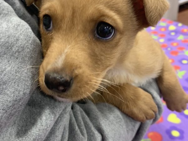 IMG-06a0fedf73183bd4f5d47835a215e9cf-V