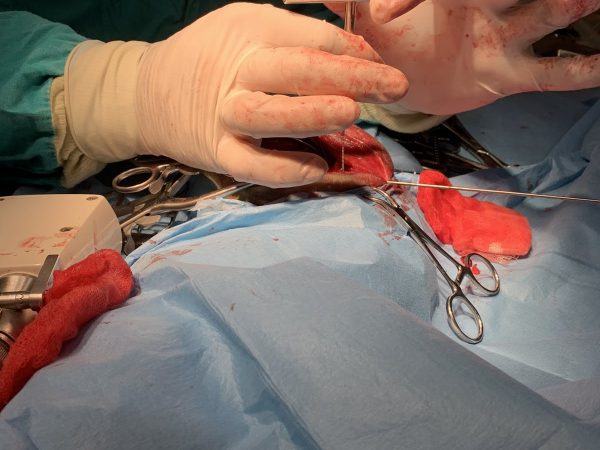 IMG-236b754d6c414704d73fa31e696549d4-V