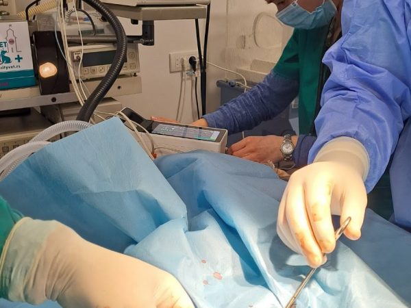 IMG-45eacdc8e99574dc4b5f1dd94620e96c-V