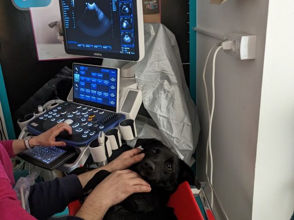 IMG-5fce424ac507eea05a4a82a3e1e7e99a-V