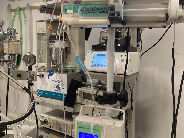 IMG-7259f502998b73c7bd2d90054e055de2-V