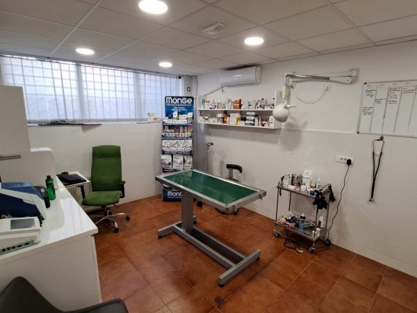 IMG-8f0f2f8eb16df8be20e7b00a76c31510-V