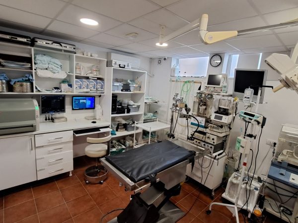 IMG-c92cf2f359b81bd856556f9f6b12dd71-V