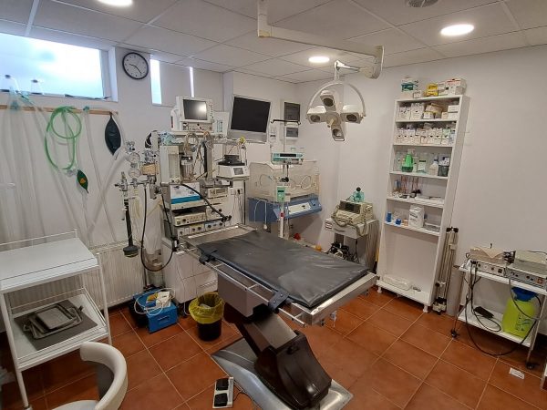 IMG-f18d46708e8142eb678fdf59e7a273e1-V