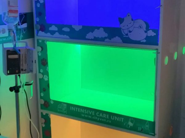 IMG_20230316_150805_247