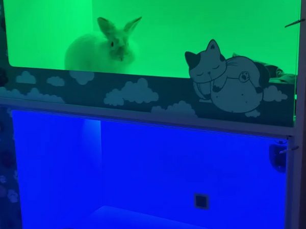 IMG_20230320_213529_783