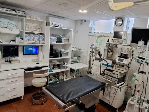 IMG_20230411_215347_391